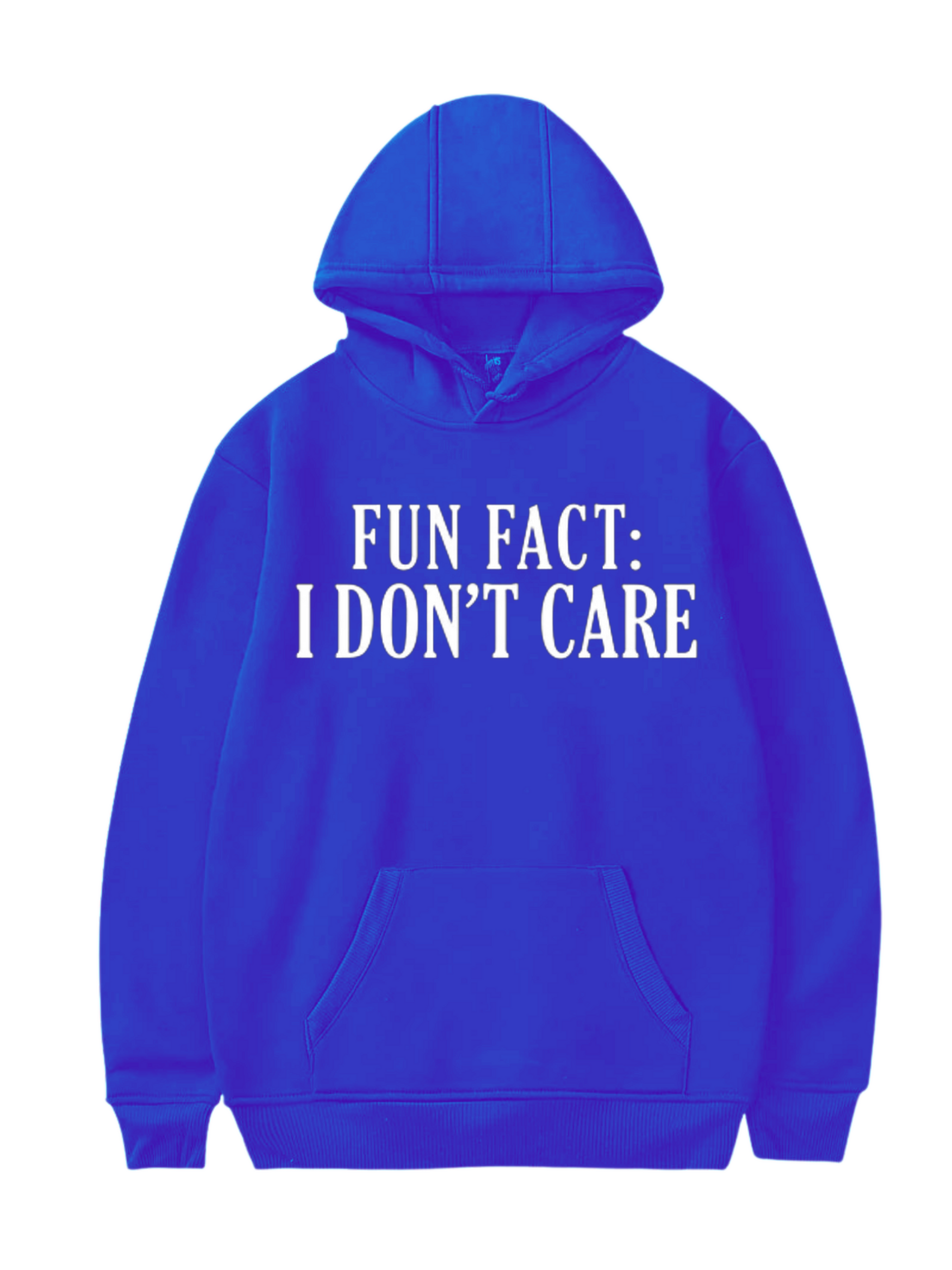 Fun Fact... I Don't Care Hoodie