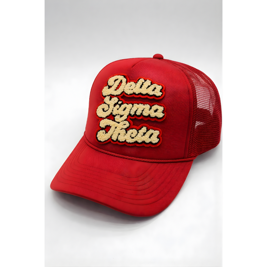 Delta Sigma Theta Chenille Patch Kangaroo Hoodie – Greek Pullover Hoodie